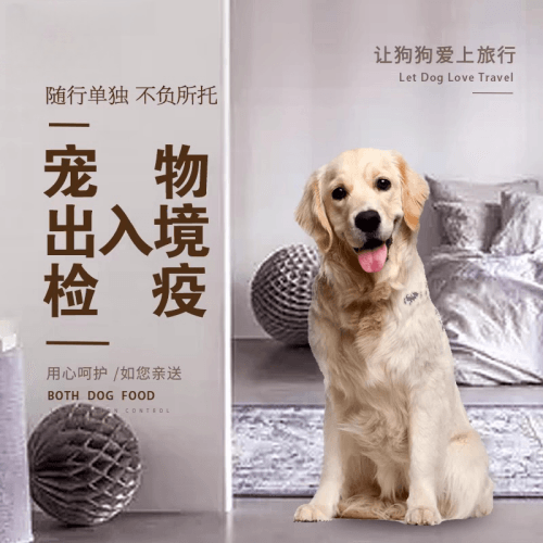 黔东南州宠物托运到哥伦比亚猫狗宠物入境规定和