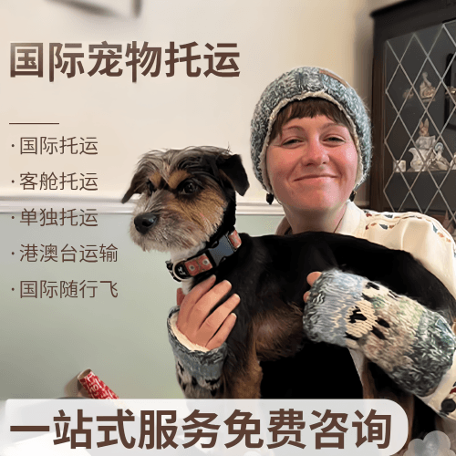 黔东南州国际宠物托运到阿根廷宠物入境规定和要