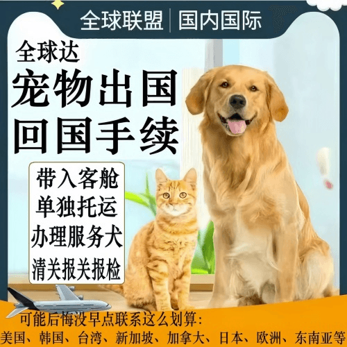 黔东南州宠物托运到柬埔寨宠物入境规定和要求