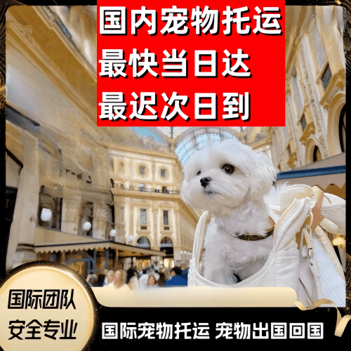 黔东南州到澳大利亚（澳洲）宠物入境规定和要求